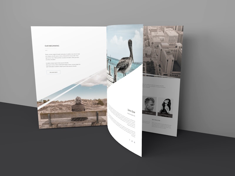 Three Page Brochure Mockup preview